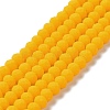 Glass Beads Strands X1-EGLA-A034-P6mm-MD04-1
