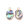 Electroplated Natural Abalone Shell/Paua Pendants SSHEL-T014-22-2