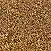 TOHO 6/0 Demi Round Beads X-SEED-DR06-PF557-2