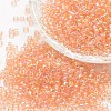 8/0 Round Glass Seed Beads SEED-J011-F8-L176-1