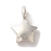 925 Sterling Silver Charms FIND-U013-06S-02-1