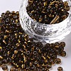 6/0 Glass Seed Beads X1-SEED-A005-4mm-53-1