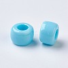 European Resin Large Hole Beads X-RESI-WH0002-06A-1