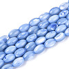 Natural Trochus Shell Beads Strands X-SHEL-K006-19-01A-1