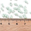 Baking Paint Glass Seed Beads X1-SEED-A033-05R-4