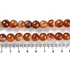 Natural Agate Beads Strands G-M437-B01-01J-5