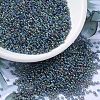MIYUKI Round Rocailles Beads X-SEED-G007-RR0249-1