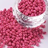 Baking Paint Glass Seed Beads SEED-US0003-3mm-K5-1
