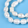 Natural Cultured Freshwater Pearl Beads Strands PEAR-N012-05B-01-4
