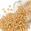TOHO Round Seed Beads SEED-JPTR08-0923-1