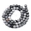 Natural Maifanite/Maifan Stone Beads Strands G-Q462-6mm-21-2