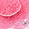 6/0 Luminous Glass Seed Beads X1-SEED-NH0001-01O-2