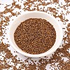 MIYUKI Delica Beads SEED-X0054-DB0505-2