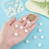 60Pcs Natural Shell Beads Strands SHEL-PH0002-30-3