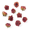 10Pcs Preserved Rose Pendants KY-TA0001-59C-3