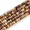 Natural Picture Jasper Beads Strands G-T141-34-4