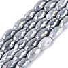 Anti-Tarnish Electroplate Glass Beads Strands EGLA-Q130-02A-01-1
