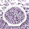 Baking Paint Glass Seed Beads SEED-N008-06E-2