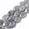 Natural Labradorite Beads Strands X-G-S359-001B-1