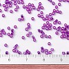 MIYUKI Delica Beads X-SEED-J020-DB1340-4