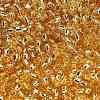 TOHO 8/0 Round Beads SEED-TR08-0022A-3