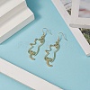 Zinc Alloy Hollow Out Cat Dangle Earrings EJEW-JE05148-01-2