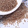MIYUKI Delica Beads SEED-X0054-DB1221-1