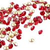 Pointed Back Glass Rhinestone Cabochons RGLA-C003-01A-06-1