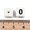 Handmade Porcelain Beads LS-PORC-R003-07-00-3