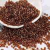 Baking Paint Glass Seed Beads X-SEED-S042-18B-01-1