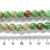 Dyed Natural Regalite/Imperial Jasper/Sea Sediment Jasper Beads Strands G-B124-C01-12-5