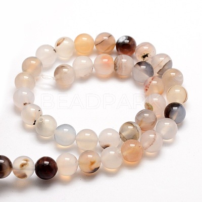 Natural Dendritic Agate Round Beads Strands G-E321C-8mm-01-1