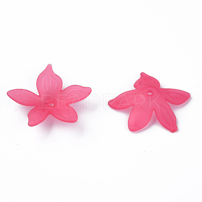 Transparent Acrylic Beads MACR-S373-127-D-1