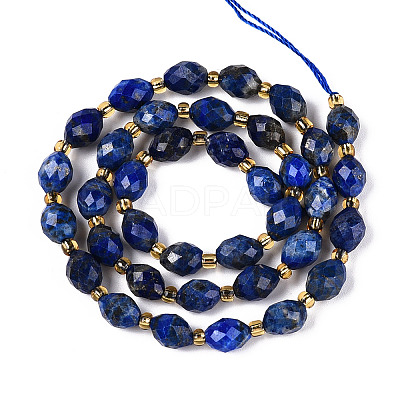 Natural Lapis Lazuli Beads Strands G-N342-35-8x6-10-1