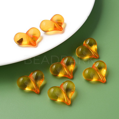 Transparent Acrylic Beads MACR-S373-70-B16-1