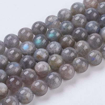 Natural Labradorite Beads Strands X-G-G212-8mm-23-1