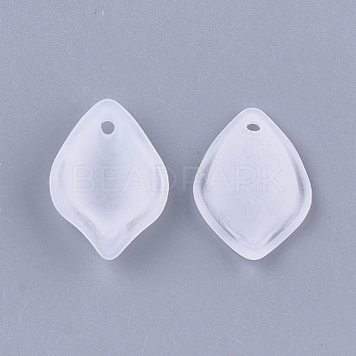 Transparent Acrylic Pendants FACR-T001-15-1