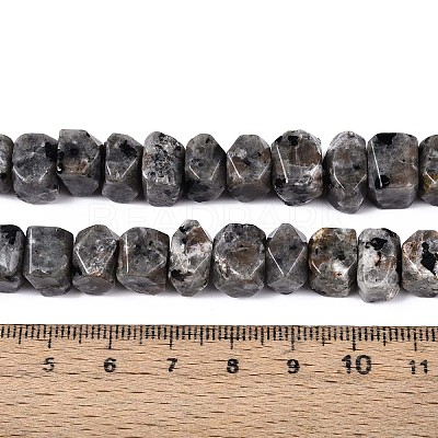 Natural Syenite Beads Strands G-N327-05-27-1