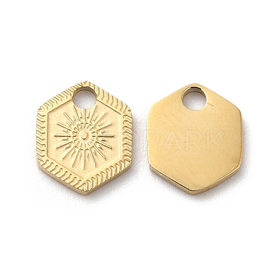 Ion Plating(IP) 316L Surgical Stainless Steel Charms STAS-H213-52G-1