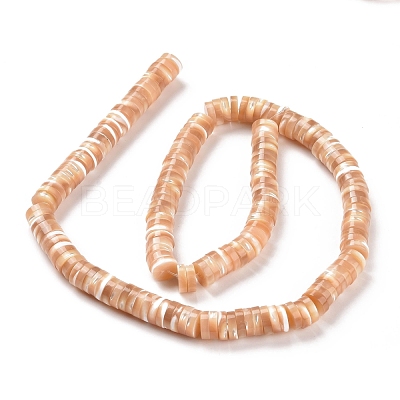 Natural Trochid Shell/Trochus Shell Beads Strands SSHEL-L016-13D-1