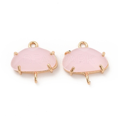 K9 Glass Connector Charms KK-E071-24KCG-02-1
