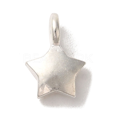 925 Sterling Silver Charms FIND-U013-06S-02-1