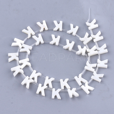 Natural Freshwater Shell Beads SHEL-T012-59K-1