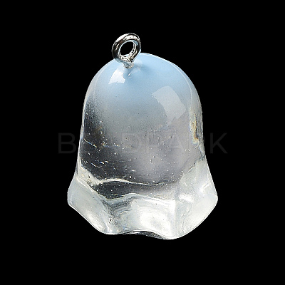 Resin Pendants CRES-D009-01D-1