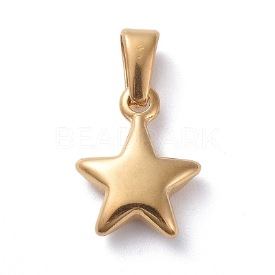 304 Stainless Steel Charms X-STAS-I127-067G-1