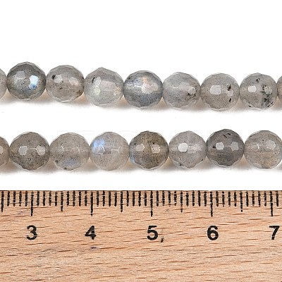 Natural Labradorite Beads Strands G-O176-04B-1