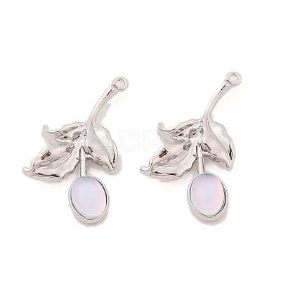 Alloy & Resin Pendants LS-FIND-Z053-04A-01-1