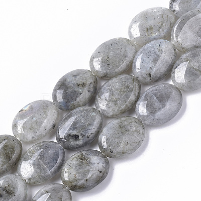Natural Labradorite Beads Strands X-G-S359-001B-1