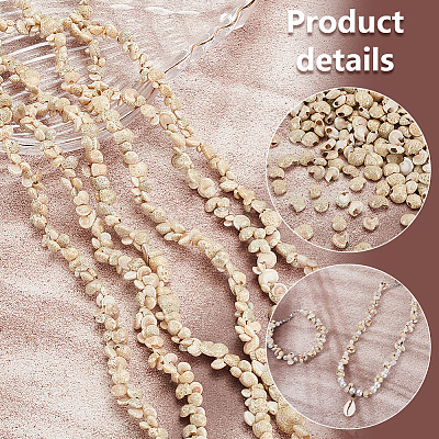 4 Strands Natural Shell Beads Strands BSHE-PH0001-37-1