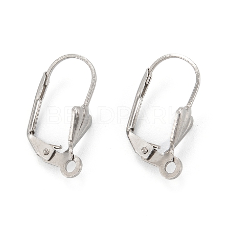 Tarnish Resistant 304 Stainless Steel Leverback Earring Findings LS-STAS-K218-08P-1